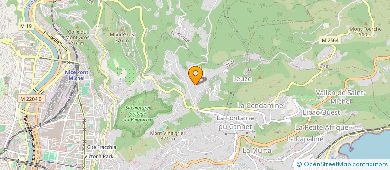 localisation de l'entreprise ASSOCIATION AYL AERIENS, YOGA ET MOUVEMENTS LIBRES à NICE