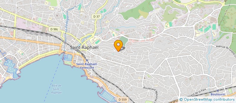 localisation de l'entreprise ASSOCIATION BENEVOLE DON DU SANG FREJUS - ST RAPHAEL  SAINT-RAPHAEL