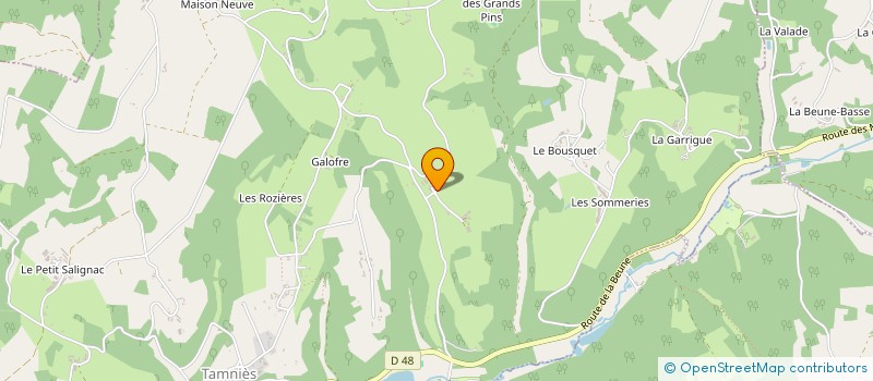 localisation de l'entreprise ASSOCIATION BERNACHE  PEYZAC-LE-MOUSTIER