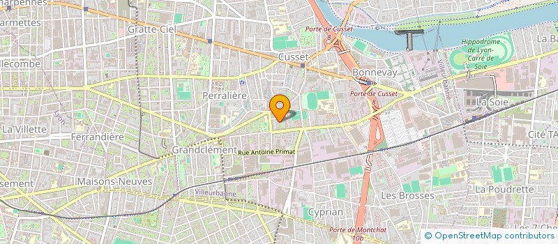 localisation de l'entreprise ASSOCIATION BIOGRAPHICUS  VILLEURBANNE