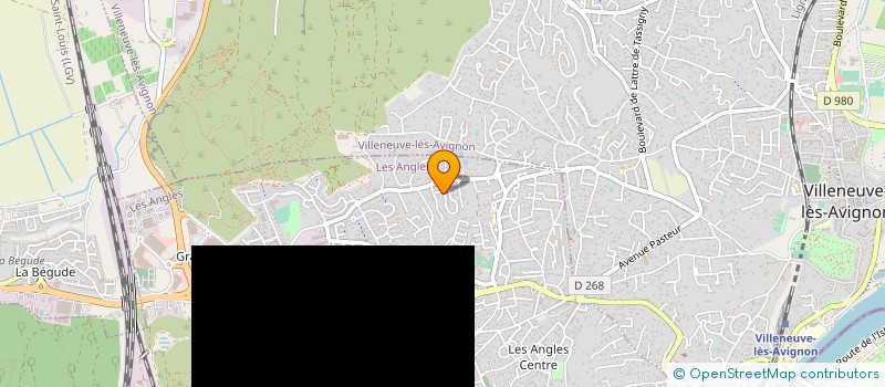 localisation de l'entreprise ASSOCIATION BLEU NEON  LES ANGLES