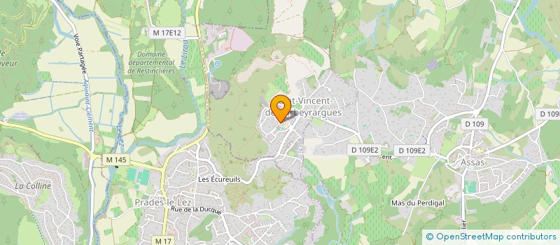 localisation de l'entreprise ASSOCIATION BOUGEZ FLAMENCO  SAINT-VINCENT-DE-BARBEYRARGUES