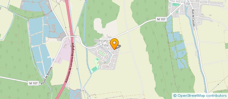 localisation de l'entreprise ASSOCIATION BRESSEY AEROBIC  BRESSEY-SUR-TILLE