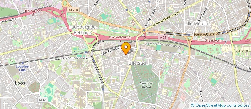 localisation de l'entreprise ASSOCIATION BULGARE POUR LA CULTURE ET L'EDUCATION  LILLE