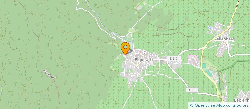 localisation de l'entreprise ASSOCIATION CARNAVAL DE RIQUEWIHR  RIQUEWIHR