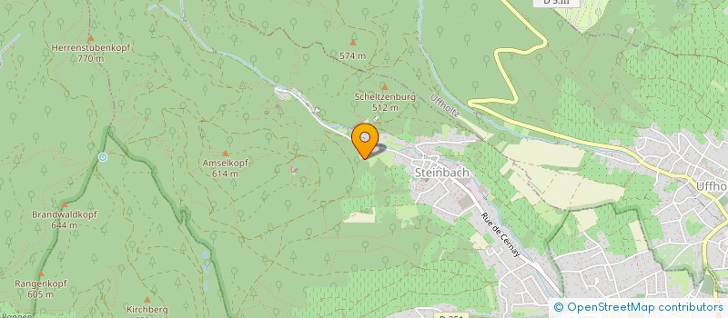 localisation de l'entreprise ASSOCIATION CARNAVALESQUE DINGELDANGELSER TRACHTER TRAGER  STEINBACH