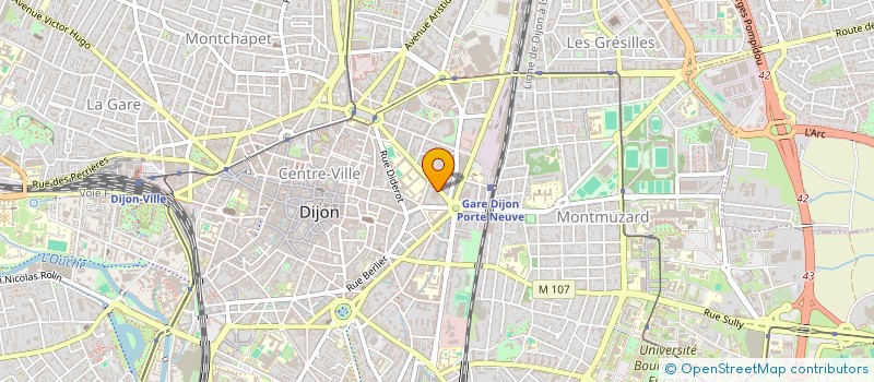 localisation de l'entreprise ASSOCIATION CHATABRI  DIJON