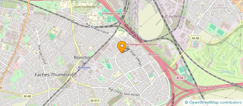 localisation de l'entreprise ASSOCIATION CHATS ERRANTS RONCHIN  RONCHIN