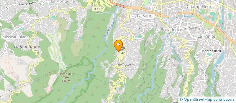 localisation de l'entreprise ASSOCIATION CHEMIN FAISANT  SAINT-DENIS