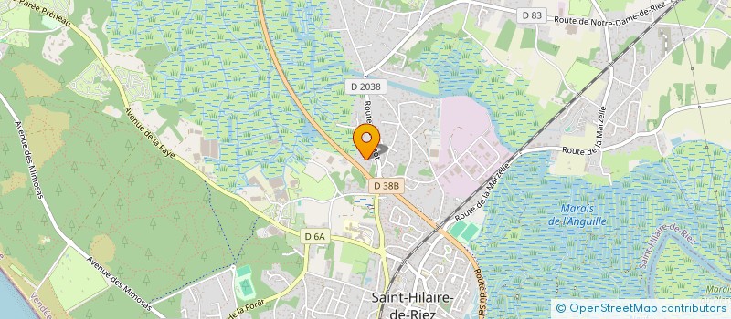 localisation de l'entreprise ASSOCIATION COLLEGIALE AMICALE CULTURE ENERGIE  SAINT-HILAIRE-DE-RIEZ