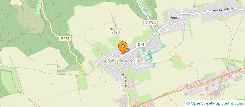 localisation de l'entreprise ASSOCIATION COMMUNALE DE CHASSE AGREEE DE COSNES ET ROMAIN  COSNES-ET-ROMAIN