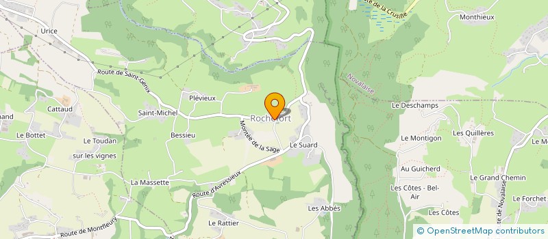 localisation de l'entreprise ASSOCIATION COMMUNALE DE CHASSE AGREEE DE ROCHEFORT LA DIANE DE MANDRIN  ROCHEFORT