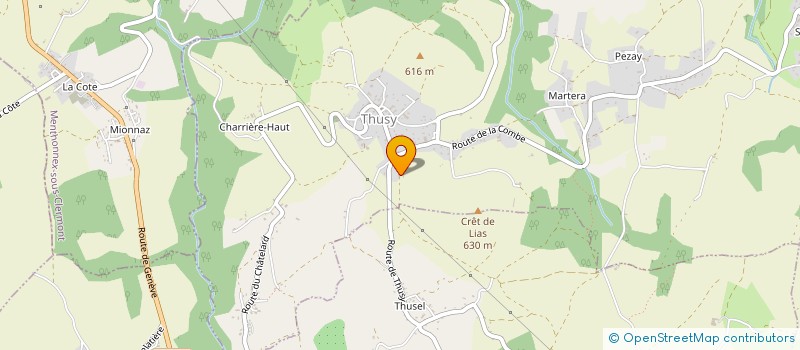 localisation de l'entreprise ASSOCIATION COMMUNALE DE CHASSE AGREEE DE THUSY  THUSY