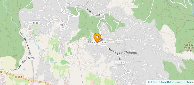 localisation de l'entreprise ASSOCIATION COMMUNALE DE CHASSE LE MARCASSIN DE MONTAUROUX  MONTAUROUX