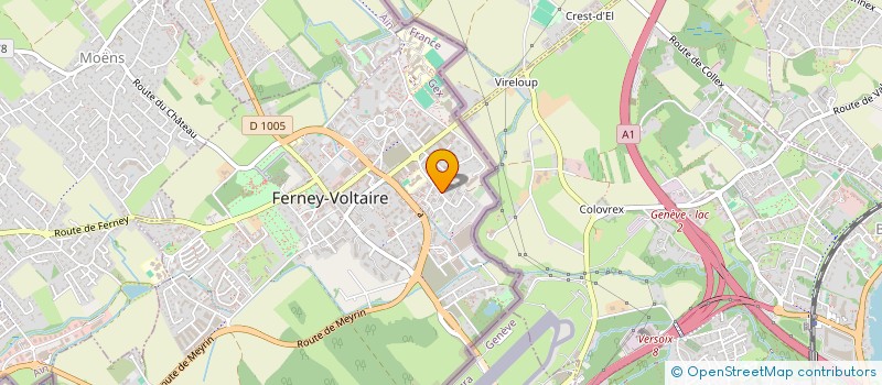localisation de l'entreprise ASSOCIATION COMORIENNE DU PIMBA EN FRANCE à FERNEY-VOLTAIRE