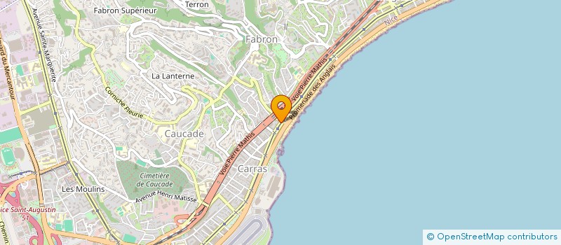 localisation de l'entreprise ASSOCIATION CONFRATERNELLE DES PEDIATRES LIBERAUX DES REGIONS RHONE ALPES COTE D AZUR à NICE