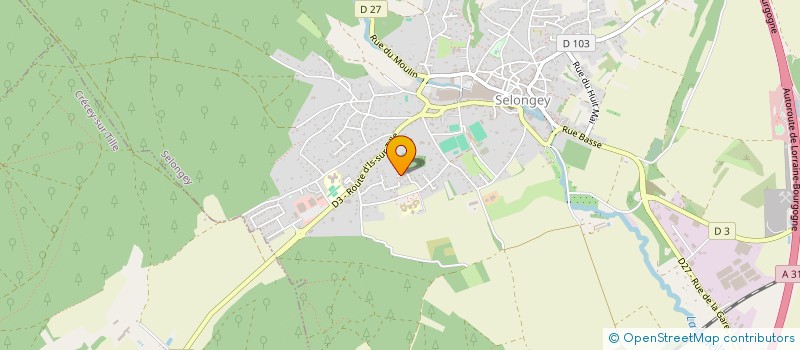 localisation de l'entreprise ASSOCIATION COUREURS DE FOND SEB  SELONGEY