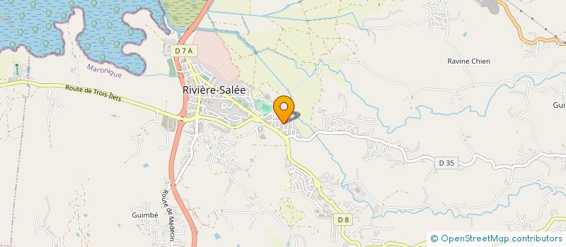 localisation de l'entreprise ASSOCIATION CREATIV' ART  RIVIERE-SALEE