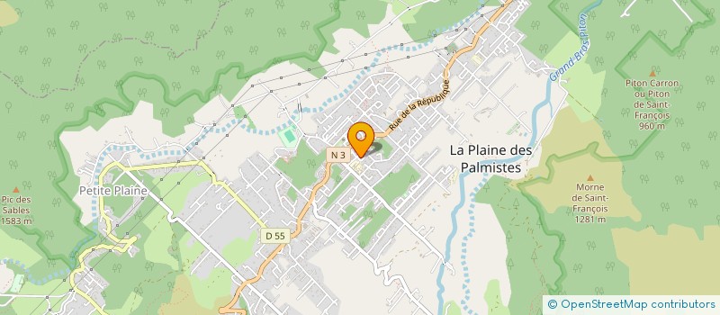 localisation de l'entreprise ASSOCIATION D'ARTS MARTIAUX DE LA PLAINE  LA PLAINE-DES-PALMISTES