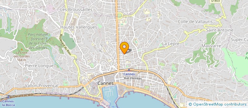 localisation de l'entreprise ASSOCIATION DANS'EMOI  CANNES