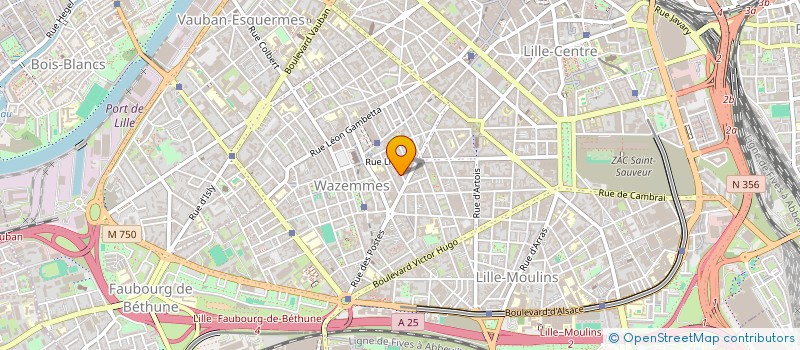 localisation de l'entreprise ASSOCIATION DE FINANCEMENT DE FAIRE RESPIRER à LILLE