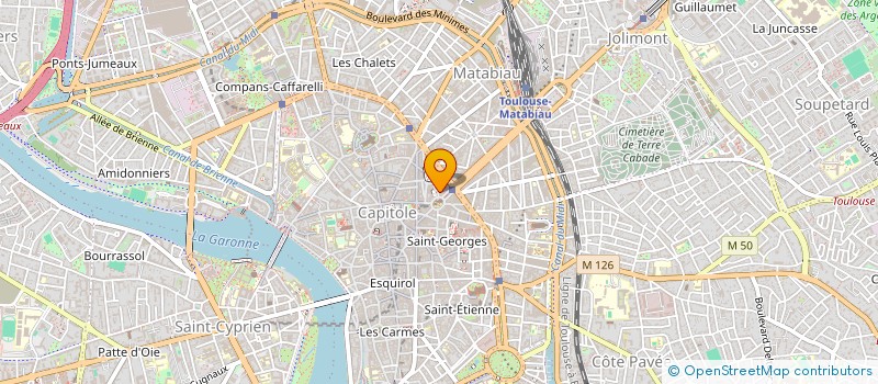 localisation de l'entreprise ASSOCIATION DE FINANCEMENT DU PARTI ANIMALISTE à TOULOUSE
