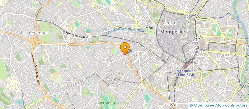localisation de l'entreprise ASSOCIATION DE FINANCEMENT ELECTORAL #NOUSSOMMES MONTPELLIER 2020 à MONTPELLIER