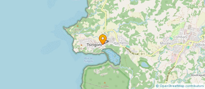 localisation de l'entreprise ASSOCIATION DE GESTION ET DE VALORISATION DES MONUMENTS ET SITES HISTORIQUES DE TSINGONI à TSINGONI
