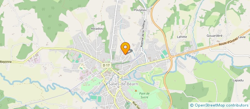 localisation de l'entreprise ASSOCIATION DE LA TETE O PIEDS  SALIES-DE-BEARN