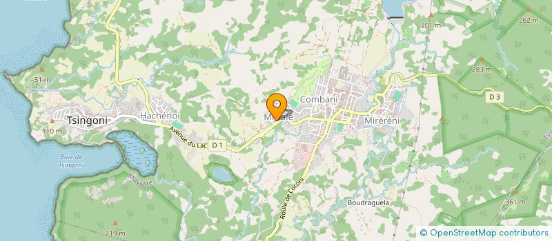 localisation de l'entreprise ASSOCIATION DE LUTTE CONTRE LES VIOLENCES A MROALE (ALCVM) à TSINGONI