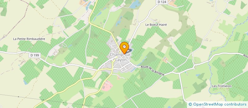 localisation de l'entreprise ASSOCIATION DE PARENTS D'ELEVES DE L'ENSEIGNEMENT LIBRE DE L'ECOLE SAINT VINCENT DE FAYE D'ANJOU.  BELLEVIGNE-EN-LAYON