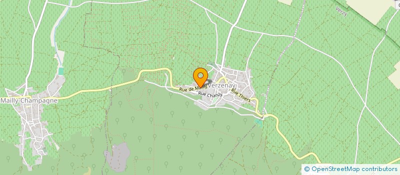 localisation de l'entreprise ASSOCIATION DE PARENTS D'ELEVES DE VERZENAY  VERZENAY