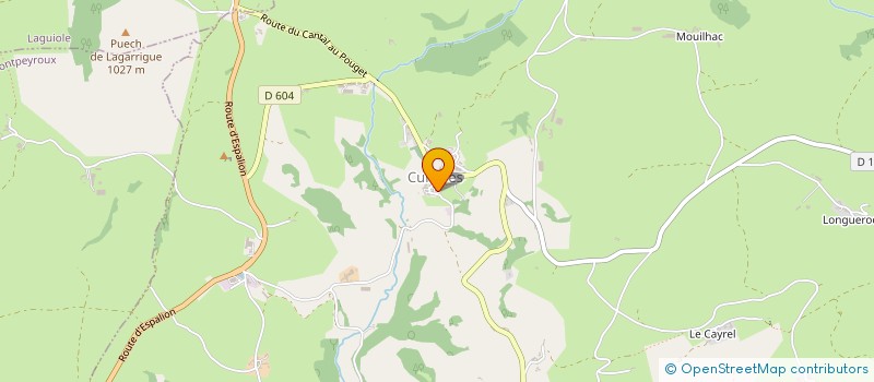 localisation de l'entreprise ASSOCIATION DE PREFIGURATION POUR LA CREATION DU RESEAU DE SANTE DE PROXIMITE EN NORD AVEYRON - APC - RSPNA  LAGUIOLE