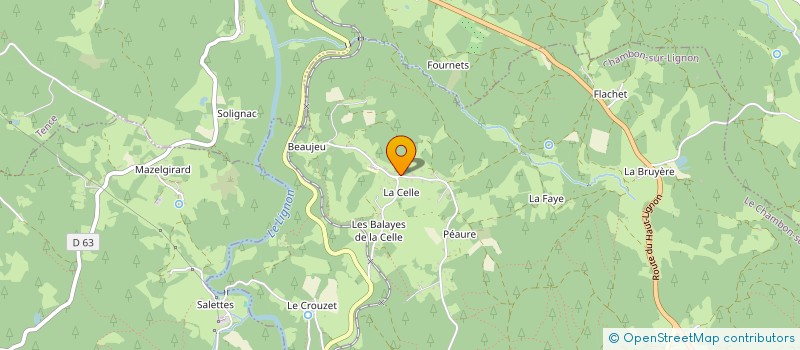 localisation de l'entreprise ASSOCIATION DE PROTECTION ET DE SAUVEGARDE DES ZONES HUMIDES DE LA CELLE ET DE PEAURE (43400) à LE CHAMBON SUR LIGNON