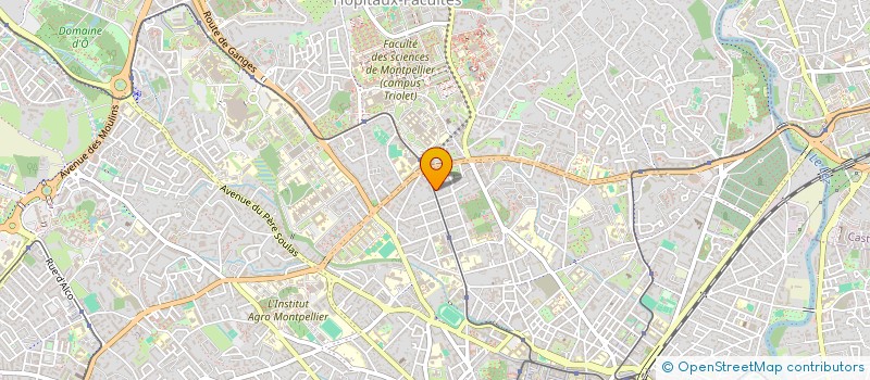localisation de l'entreprise ASSOCIATION DE RECHERCHE ARTISTIQUE EN BIO ACOUSTIQUE ET ENERGIQUE DU SON ET DU CORPS (ARABESC) à MONTPELLIER