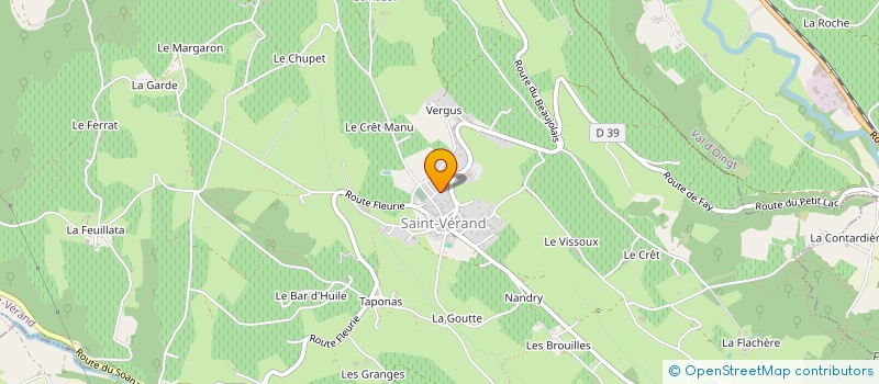 localisation de l'entreprise ASSOCIATION DE VIGNERONS DE THEIZE DE VIGNES EN FLEURS  THEIZE