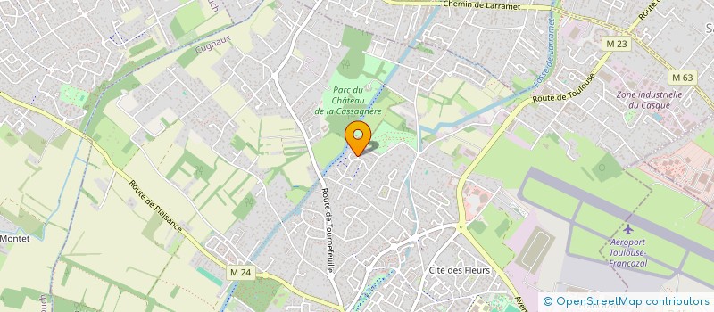 localisation de l'entreprise ASSOCIATION DE YOGA DE LIBERATION DU PAPILLON (AYLIP)  CUGNAUX