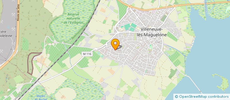 localisation de l'entreprise ASSOCIATION DENTAIRE MONTPELLIERAINE  VILLENEUVE-LES-MAGUELONE