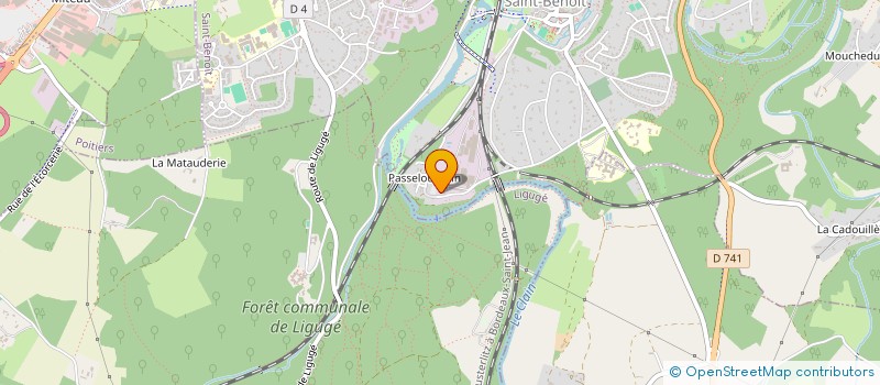 localisation de l'entreprise ASSOCIATION DEPARTEMENTALE DE LA VIENNE DE PARENTS DE PERSONNES HANDICAPEES MENTALES ET D AMIS à SAINT-BENOIT
