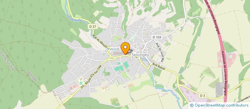 localisation de l'entreprise ASSOCIATION DEPARTEMENTALE DES AMIS DES CARILLONS  SELONGEY