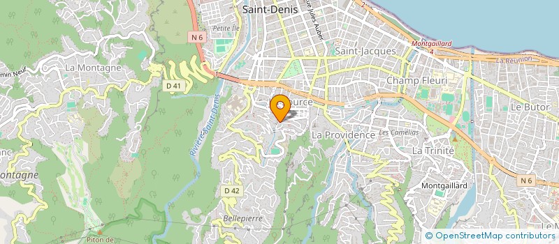 localisation de l'entreprise ASSOCIATION DEPARTEMENTALE SERVICE SOCIAL à SAINT-DENIS