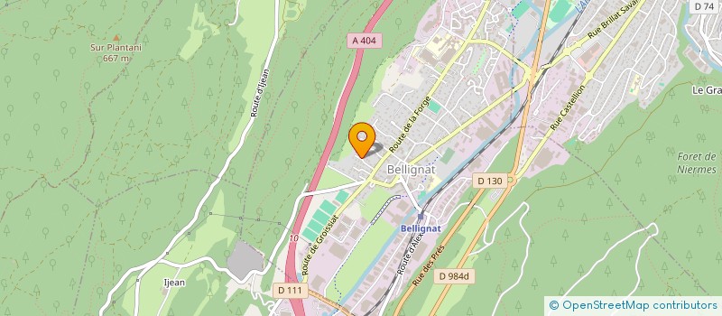 localisation de l'entreprise ASSOCIATION DES ACCIDENTES DE VTT DE DESCENTES à BELLIGNAT
