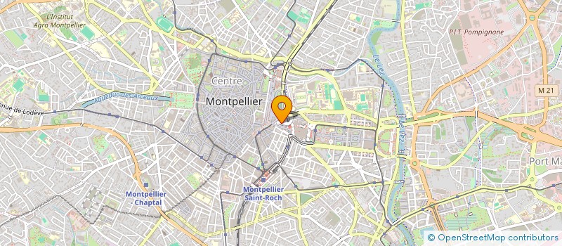 localisation de l'entreprise ASSOCIATION DES AFGHANS DE MONTPELLIER à MONTPELLIER