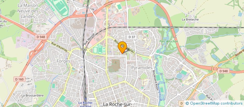localisation de l'entreprise ASSOCIATION DES AFRICAINS DE LA VENDEE à LA ROCHE-SUR-YON