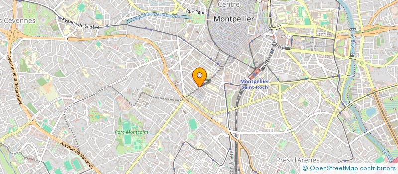 localisation de l'entreprise ASSOCIATION DES AFRICAINS DE MONTPELLIER (AAM) à MONTPELLIER