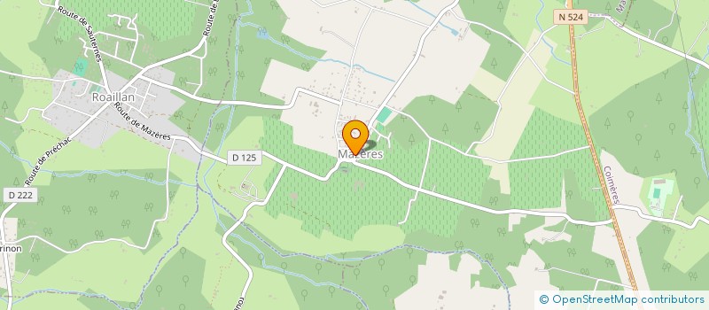 localisation de l'entreprise ASSOCIATION DES AMIS DE ROQUETAILLADE à MAZERES
