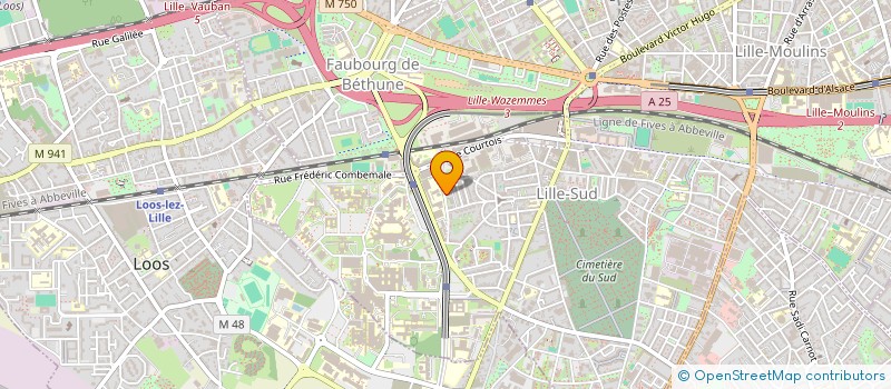 localisation de l'entreprise ASSOCIATION DES AMIS DE STANISLAS DE GUAITA à LILLE
