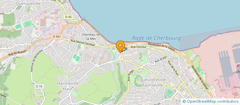 localisation de l'entreprise ASSOCIATION DES AMIS DU FESTIVAL IMMERSIONS  CHERBOURG-EN-COTENTIN