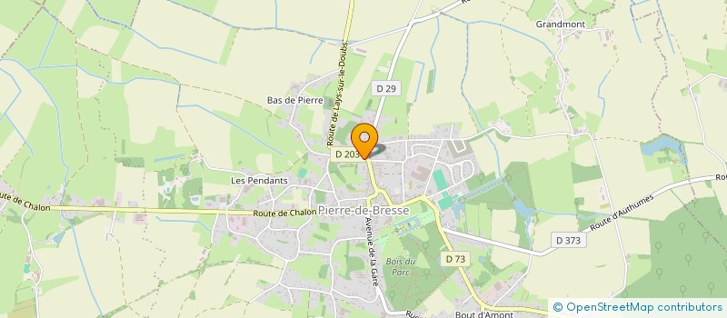 localisation de l'entreprise ASSOCIATION DES ANCIENS COMBATTANTS ET VEUVES DU CANTON DE PIERRE DE BRESSE  PIERRE-DE-BRESSE