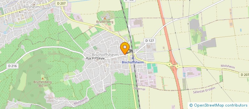 localisation de l'entreprise ASSOCIATION DES ARBORICULTEI]RS DE BISCHOFF HEIM  BISCHOFFSHEIM